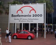 BeetleMania1 Adobe ImageReady